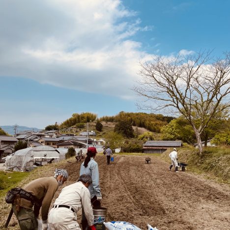 2022.4.19~  土起こしから２ヶ月経ち。。。